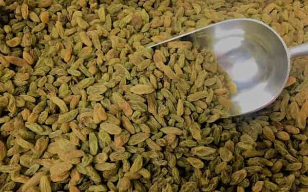 قیمت کشمش سبز قلمی ملایر + خرید باور نکردنی